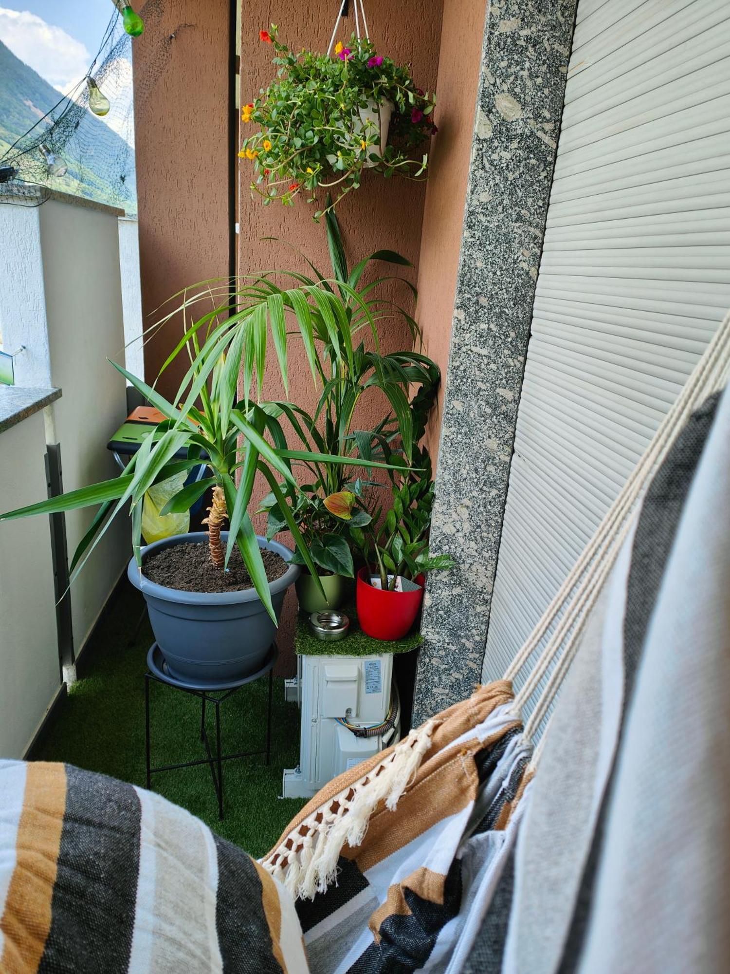 Alfiumea Appartement Tirano Buitenkant foto